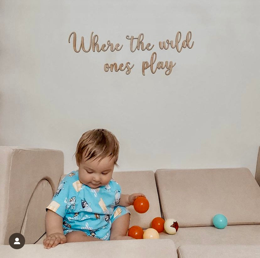 Where the wild ones play toy room sign